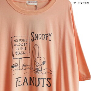 Xk[s[ TVc Y rbOTCY 傫TCY  tVc T[tB peanut AJW o r[` Vv    ̓ yAbN 킢 u AR~ Òf