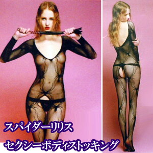  Sg^Cc ZNV[ [X XpC_[ w偂̑ d  nEB RXv {fB[^Cc {fBXgbLO ߑ z^[ RX`[ l ws