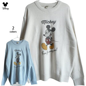  fBYj[ ~bL[ jbg Z[^[ Y ~bL[}EX fB[X 傫TCY disney I[o[TCY 킢  TDL H~ yAbN i` l  Ò