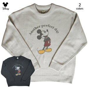  fBYj[ ~bL[ jbg Z[^[ Y obNvg fB[X 傫TCY disney I[o[TCY 킢  TDL H~ yAbN i` l  Ò