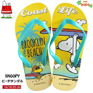  r[`T_ Xk[s[ r[T LbY WjA qp ǂ qǂ F CG[ r[` nC V̖ Of[V T[tB 16cm 18cm 20cm l 킢 EbhX