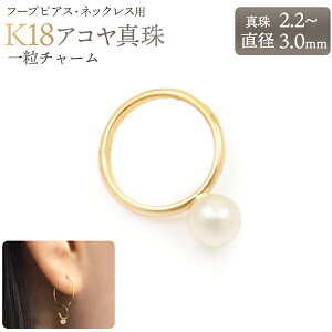 K18/{ AR^ t[vsAX/ꗱ`[ip[ ^ `[ ANZT[ ANZ nhCh Ђ IWĩANZT[ɂXX ݌Ɉꕔʓ