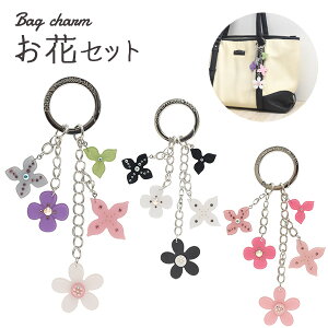 yzyԃZbg/O^Cvzt炵  iobO`[ |Cg L[z_[ t[ Jo ʊwobN 킢 JP[X qp LbY G g