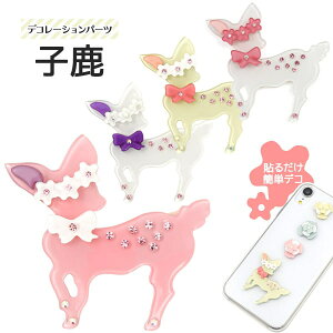 yq^/fRV[z VJ or  t  Ao fR[V  pG G zr[ f EGfBO 񎟉 w 蒠 ̎q  JCC  P[
