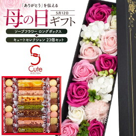 2024年母の日【ソープフラワーボックスとクッキー】プチギフト 鑑賞用 お菓子 ギフト 可愛い 誕生日プレゼント 鑑賞薔薇 バラ 枯れないお花 かわいい 感謝 石鹸 送別 御礼 誕生日プレゼント 義母 ホワイトデー お返し 祝い フラワーギフト バレンタイン 直送w 【送料無料】