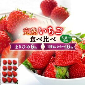 旬の果物【秀品以上 ブランド 完熟いちご 食べ比べセット 1パック 12粒入り】まりひめ6粒 おまかせ品種6粒 (紀の香 紅ほっぺ など) 和歌山県産 オリジナルブランド 苺 高糖度 デザート フルーツ 甘い イチゴ ご褒美 ご当地 お取り寄せ グルメ ギフト 常温 【送料無料】