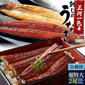 朝じめ うなぎ 愛知県 2尾セット( 200〜250g ) 冷蔵 蒲焼き 白焼き 父の日ギフト 国産 うなぎ ウナギ 鰻 かば焼き タレ山椒 ひつまぶし 鰻巻 うな丼 内祝 贈り物 ギフト 祝 結婚 誕生日 褒美 大人 祖父母 還暦 国産 夏バテ 父の日 直3【送料無料】