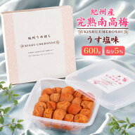 【塩分5％ 紀州産 完熟南高梅 うす塩味 600g 】 紀州 南高 梅 和歌山 紀州南高梅 ご飯のお供 ギフト つま…