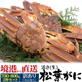 足落ち 訳あり【境港 活き 松葉ガニ 姿 2杯 セット （約700g～800g /1杯あたり）足落ち】 活ガニ 生 松葉ガニ 国産 日本産 産地直送 松葉蟹 カニ かに 松葉かに 産地直送 お取り寄せ グルメ ギフト ご家庭用 ご褒美 自分用 家族 新鮮 冷蔵 直2【送料無料】