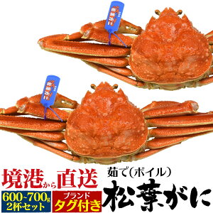 2t/2`3lO/tKj䥂/}coKjy600g-700gz{Cς݃uh^Ot YCKj Yn Jj I  j  Hו  ĂI ɎG ɂ I߂ bĂ 