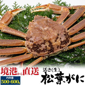 y()tKj 500g`600gz挧 ` Yn I p }coKj YCKj j j 蕨  җ Mtg   ǂ̓  I߂ I ɓ G X` _Vł