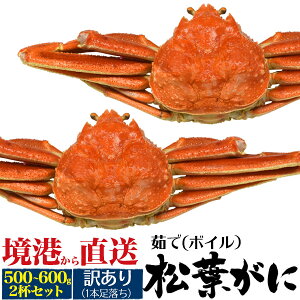 ƒpy{C 䥂 }coKj 500g`600g 2tz󂠂 tI {C tKj 󂠂 Yn 䥂ŊIJj I   Hו ĂI ɎG ɂ ƑcRł  