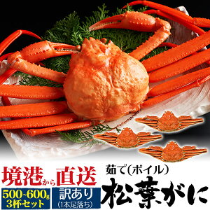 ƒpy{C 䥂 }coKj 500g`600g 3tz󂠂 tI {C tKj 󂠂 Yn 䥂ŊIJj I  Hו ĂI ɎG ɂ ƑcRł  O 