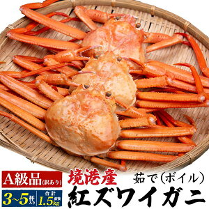 y䥂ōgYCKj3`5t(v1.5kgO)zYn gYCKj ` {C xjYCKj ׂɂ킢 ̂ꂽĖo  Ă X` G pX^ aH bĂ ܂ ̂ 