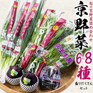 y 肾Zbgzss꒼INi ؃Zbg lߍ MtgZbg tďH~   h{   q   Ƒ 炵 Mtg  j eʁ6`8ޒ