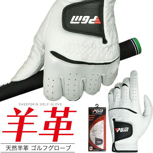 VRvyY rv StO[uz_炩 Lkf  j  Obv ~ St O[u fB[X Stpi  St ^ ʋC StO[u ėp 