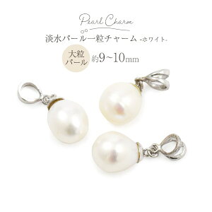 1yWp[ ꗱ`[ zCgz9`10mm  ANZT[p[c p[c ߋ p[ uXbg p[ lbNX [M 1/10]