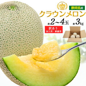 󂠂yNE 2~4ʃZbg 3kg ÉY ƒp z fU[g Y t[c Â ґ J p  O {̉ʕ LYE Hp 󂠂 ړ