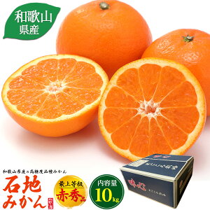 \12oׁ` ya̎RY Βn݂ 10kgz݂ W[V[ ݂ a̎R ݂ n 񂹃t[c Mtg   ʕZbg ʕ MtgZbg t[c M