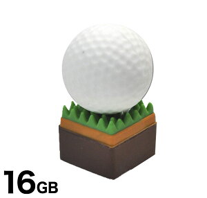 ySt{[^CvzUSB[16GB USB  usb USB[ j[N 킢 v[g Mtg p\R f[^ tbV St {[ X|[c mxeB[ i