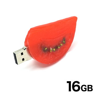 y^؂g}g^CvzUSB[16GB  ۑ pc p\R  usb USB[ j[N 킢 v[g Mtg p\R f[^ tbV Hו g}g t
