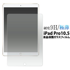 iPad Pro 10.5インチ用液晶保護ガラスフィルム（ アイパッド プロ 10.5インチ ipad アップル タブレット 保護 フィルム からすフィルム 保護シート）[M便 1/1]