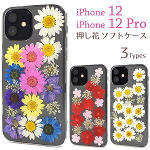 yzyiPhone 12/iPhone 12 PropzwʃNA Ԗ͗l ԕ P[X iphone 12 pro Jo[ X}zP[X iphone P[X ACtH12pro P[X 킢 12v Vv Mtg a v[g 