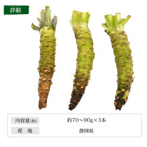 y{킳 TCY(70g`90g) x 2{ZbgzÉY 킳  h  Y Tr ґ AW B hg i   Xe[L  O Mtg ① y