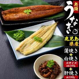 鹿児島県産【無頭うなぎ 蒲焼・白焼き・肝セット】鰻 大サイズ タレ付属 国産 ウナギ かば焼き パリふわ 肉厚 肝焼き 珍味 酒のアテ おつまみ お手軽 お惣菜 おかず 贅沢 ご褒美 お魚 アレンジ食材 うな丼 ひつまぶし 食品 お取り寄せグルメ ギフト 冷凍 直送w【送料無料】