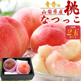 【山梨県産 桃 なつっこ 青秀品 2玉セット 贈答用 】 上品な甘さ しっかりとした果肉 なつっこ 旬の果物 甘い ピーチ モモ もも 御供養 御礼 内祝い 夏 季節物 祖父母 国産 お取り寄せ フルーツ スイーツ ギフト お中元 暑中 お彼岸【送料無料】