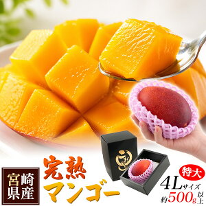 �y�{�茧�Y �}���S�[ 4L�T�C�Y ��500g �����p �z��� ���n�}���S�[ �A�b�v���}���S�[ �A�[�E�B���� �f�U�[�g ���Y �t���[�c �Z�� �Â� ���� �ґ� ���J�� ������ �O���� �ʕ� �M�t�g �Z����