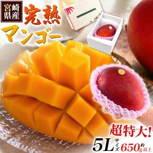 �y�{�茧�Y �}���S�[ 5L�T�C�Y ��650g �����p �z����� ���n�}���S�[ �A�b�v���}���S�[ �A�[�E�B���� �f�U�[�g ���Y �t���[�c �Z�� �Â� ������ �ґ� ���J�� ������ �O���� �ʕ� �M�t�g �Z