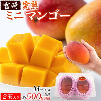 楽天市場】ミニマンゴー 宮崎の通販 【宮崎県産】摘果マンゴー小サイズ 13kg（送料込み）4/1収穫・明日発送！