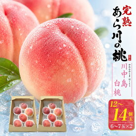 ■ご家庭用【和歌山県産「あら川の桃」川中島白桃 12～14玉セット（6～7玉入り×2)】糖度13度以上 桃 訳あり お取り寄せ 和歌山 桃 モモ もも 夏 初夏 季節物 フルーツ 桃 果物 セット 食品 御自宅用 自分用 サイズ不揃い訳あり ■ご家庭用おすすめ 【送料無料】