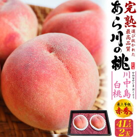 ご予約【あら川の桃 川中島白桃 2玉 和歌山県産 桃 贈答用 赤秀品 4Lサイズ】 最上等級 完熟桃 大玉 もも 桃 高糖度 甘い フルーツ 果物 ピーチ モモ 熨斗対応 お中元 夏ギフト 和歌山 希少 お取り寄せ グルメ ギフト スイーツ 夏の味覚■冷蔵 直送w【送料無料】