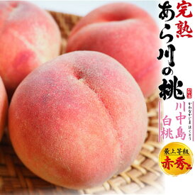 ■ご予約 【和歌山県産「あら川の桃」川中島白桃】和歌山県産 白桃 お取り寄せスイーツ 桃 和歌山 お中元 暑中 お彼岸 スイーツ モモ もも 新鮮 御礼 祝 フルーツ ギフト 内祝い ギフト ピーチ 贈答 夏 初夏 果物セット 祖父母 桃夏ギフト 熨斗対応【送料無料】 直送w