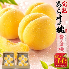 ■ご家庭用【和歌山県産「あら川の桃」黄金桃 12～14玉セット（6～7玉入り×2)】 糖度13度以上 和歌山県産 桃 お取り寄せ モモ もも 夏 初夏 季節物 フルーツ 果物 訳あり 食品 御自宅用 自分用 ご褒美 オウゴントウ 訳あり 【送料無料】 直送w