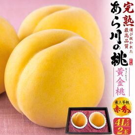 ご予約【あら川の桃 黄金桃 2玉 和歌山県産 桃 贈答用 赤秀品 4Lサイズ】 最上等級 完熟桃 大玉 もも 桃 高糖度 甘い フルーツ 果物 ピーチ モモ 熨斗対応 お中元 夏ギフト 和歌山 希少 お取り寄せ グルメ ギフト スイーツ 夏の味覚■冷蔵 直送w【送料無料】