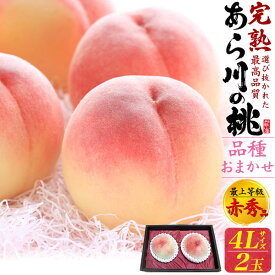 ご予約【あら川の桃 品種おまかせ 2玉 和歌山県産 桃 贈答用 赤秀品 4Lサイズ】 最上等級 完熟桃 大玉 もも 桃 高糖度 甘い フルーツ 果物 ピーチ モモ 熨斗対応 お中元 夏ギフト 和歌山 希少 お取り寄せ グルメ ギフト スイーツ 夏の味覚■冷蔵 直送w【送料無料】