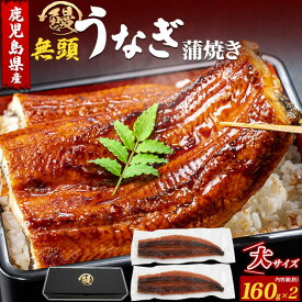 ■鹿児島県産【無頭 うなぎ蒲焼きカット 約160g×2尾】鰻 大サイズ 無頭長焼き タレ付属 国産 ウナギ かば焼き パリふわ 肉厚 お手軽 お惣菜 おかず 贅沢 ご褒美 お魚 アレンジ食材 うな丼 ひつまぶし 食品 お取り寄せグルメ ギフト 冷凍 直送w【送料無料】