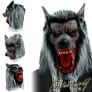 yz[}XN z! Aȑ` S  wbh}XN   sG Tj  | pvLwbh RXv ߑ т |   Cxg p[eB[ 