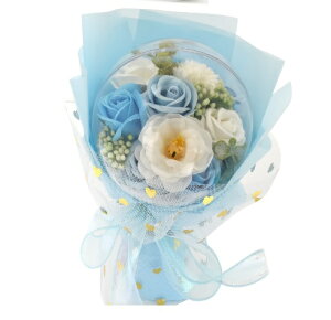 yD ĂVRTu 8+\[vt[o[^Cv(ӏ)z`R Ăَq Mtg  zj Vz D  IW oii t[cVR Mtgt