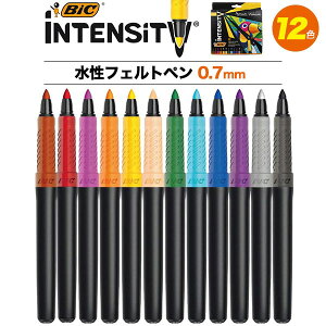 yBIC CeVeB 12FztFgy 0.7mm bic Jt v[ghG ʂ肦 tFgy wZ J[y Zbg q  킢 Mtg v[g  [ FN