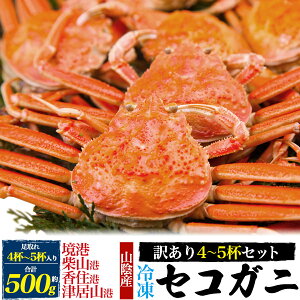 󂠂yRAY {Cς ɏ ZRKj 500g~1kg (4t`9tZbg)zⓀ 䥂 tKj̎  Oq q X uhYng ܂΂ YCKj I Jj  ƒp 