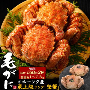 【最高級毛ガニ 約500g×2杯セット 合計約1.1kg】毛がに カニ身 毛蟹 北海道お取り寄せ 甲羅焼き 蟹雑炊 結婚 誕生日 贅沢 ご褒美 海鮮 鍋 贅沢 お食事 ギフト 祝 内祝い 贈り物 ボイル 急速冷凍