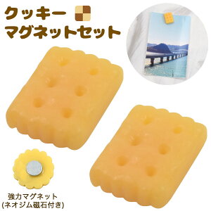 NbL[}OlbgZbg i̓}Olbg lIWΕtjHiTv }Olbg ֗ObY H DIY IWi ANZT[p[c ANZ p[c  ΋  {[