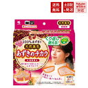 あずきのチカラ 首肩用 レンジでチンするだけ くり返し使える 100％あずきの天然蒸気 小林製薬