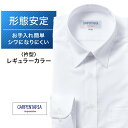 ワイシャツ 長袖 形態安定 メンズ Yシャツ カッターシャツ ビジネス 標準 CARPENTARIA レギュラーカラー ホワイトドビーストライプ [DAPC15-08]