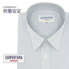 ワイシャツ 長袖 形態安定 メンズ Yシャツ カッターシャツ ビジネス 標準 CARPENTARIA レギュラーカラー ホワイト×グレードビーチェック [DAPC15-10]