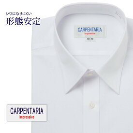 ワイシャツ 長袖 形態安定 メンズ Yシャツ カッターシャツ ビジネス 標準 CARPENTARIA レギュラーカラー ホワイトツイル [DAPC15-27]